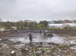 成都河道鱼塘清淤